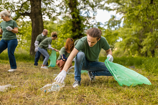 Group of environmentalist activists collecting trash in a forest together