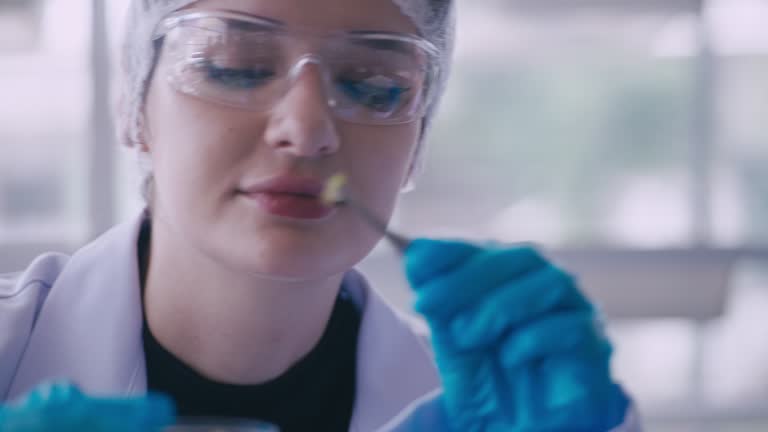 Laboratory agronomist using microscope