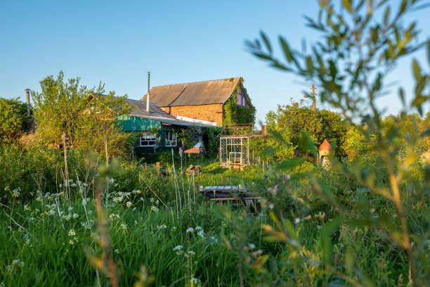 istock Romantic landscape in Vitebsk region in Belarus 1533469372