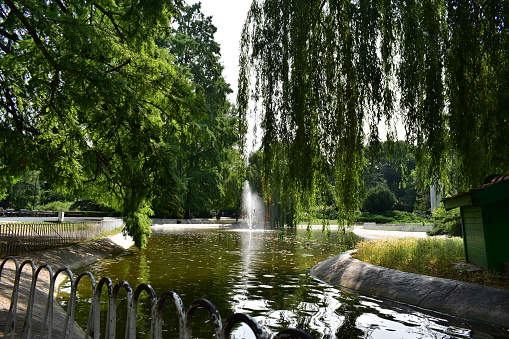 ˝Novi Sad, Serbia - 07 11 2023: Danube park lake on a sunny day˝