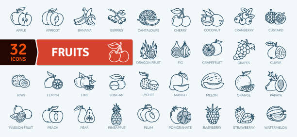 Fruits Fruit Healthy eating Thin Line Pack. Vector scalable icons annonaceae stock illustrations