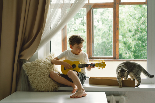 Cute boy  learns to play the Ukulele guitar on the windowsill near the window with cat . Cozy home. Summer holidays lifestyle.