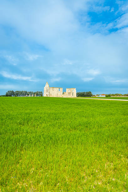 Green field and Abbey of Notre-Dame-de-Ré in La Flotte Green field and Abbey of Notre-Dame-de-Ré in La Flotte, France flotte stock pictures, royalty-free photos & images