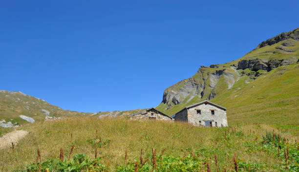 istock old sheepfold in the meadows with alpine mountain in the background under blue sky 1533552534