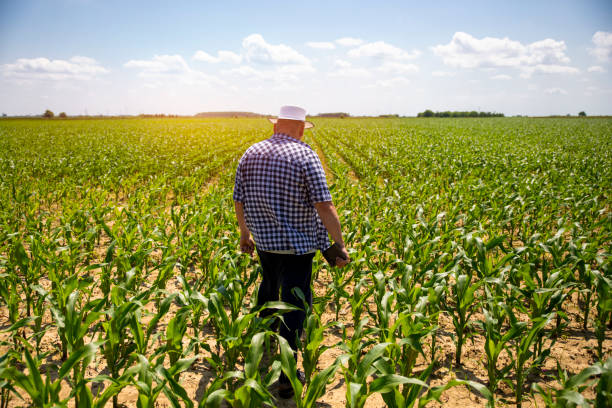 istock Agribusiness and smart farming 1533579153