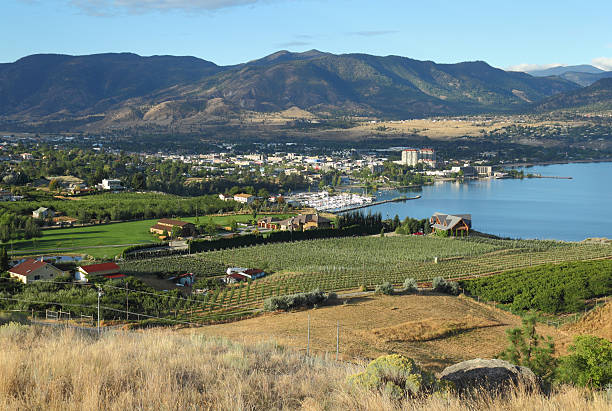 penticton, columbia britannica - okanagan vineyard okanagan valley valley foto e immagini stock