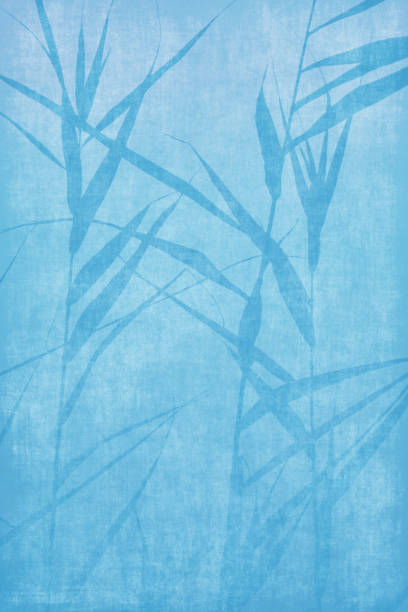 Summer Background Blue Shade Leaf Blade of Grass In Silhouette Bamboo Leaf Ink Pattern Cute Branch Sunrise Shadow Overlay Abstract Large Reed Cattail Growth Marsh Riverbank Coastline Grunge Old Paper Dirty Spring Texture Idyllic Vignette Sparse Close-up Matte Backdrop Design template for presentation, flyer, card, poster, brochure, banner