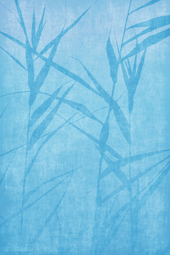 Summer Background Blue Shade Leaf Blade of Grass In Silhouette Bamboo Leaf Ink Pattern Cute Branch Sunrise Shadow Overlay Abstract Large Reed Cattail Growth Marsh Riverbank Coastline Grunge Old Paper Dirty Spring Texture Idyllic Vignette Sparse Close-up Matte Backdrop Design template for presentation, flyer, card, poster, brochure, banner