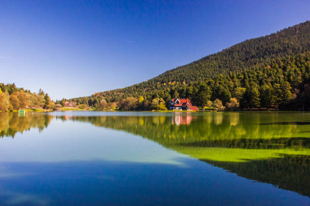 bolu province