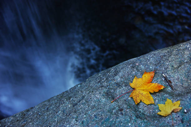 aydınpınar waterfall Düzce province