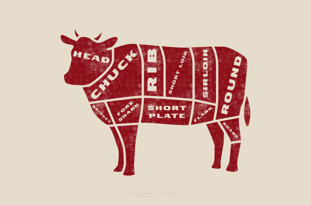 lager rindfleisch schneidet vektordiagramm im flachen stil - butchers shop meat store farm stock-grafiken, -clipart, -cartoons und -symbole