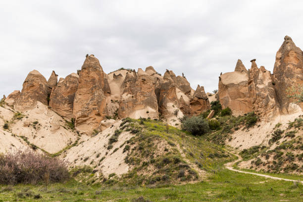 istock Devrent Valley also called Imagination Valley reveals many different rock formations. Goreme, Cappadocia, Turkey 1533642727