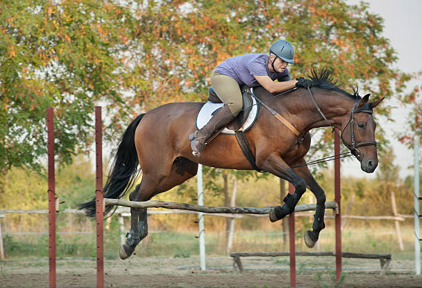 istock girl riding horse and jumping 153365355