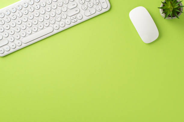 istock Embrace the flexibility of distant studying from home with this top-view photo featuring a keyboard, mouse and small cactus on a calming light green background. Empty space for text or ads 1533654623