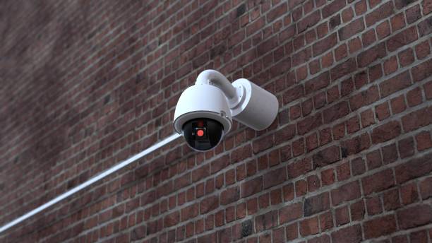 PTZ camera and LPR camera examples