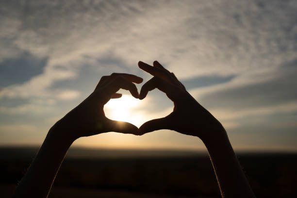 istock Beautiful Silhouette hand made heart shape on the sunset background. 1533663196