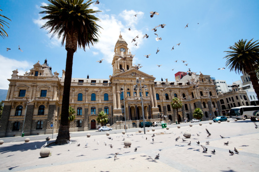 pigeons flying over city hall of cape town