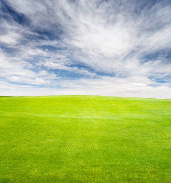 istock Landscape with green grass field under a blue sky 1533683481