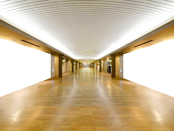 Long wooden walkway