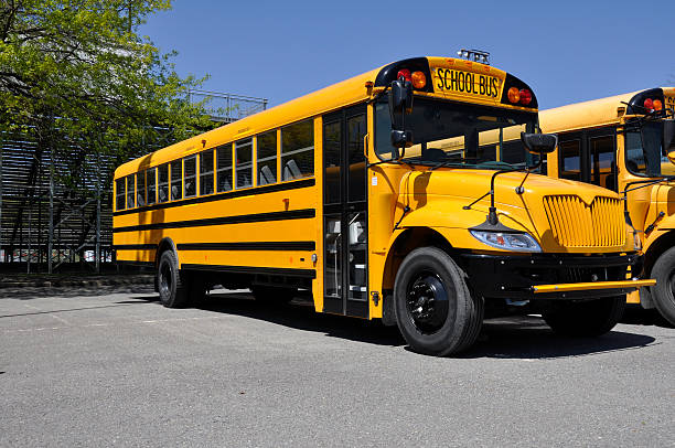 one yellow school bus stock photo