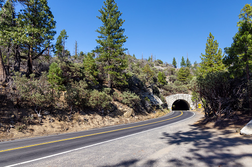 Asphalt curve road through forest and tunnel