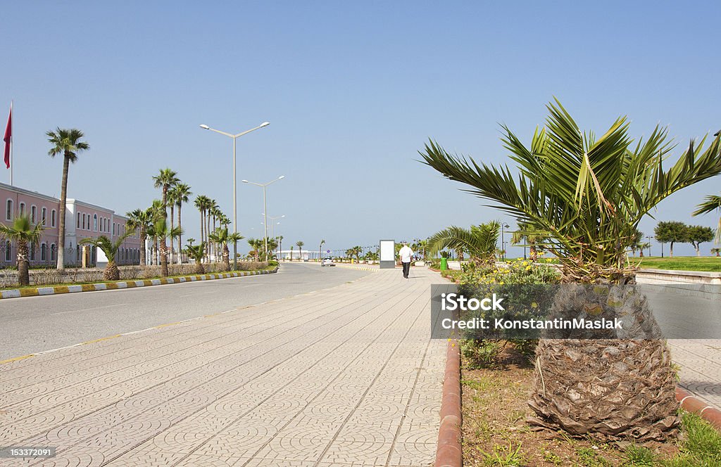 Seaside landscape Palm tree near the road. Seaside of Iskenderun, Turkey Türkiye - Country Stock Photo