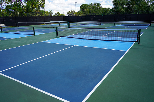 Blue and Green Pickleball Court