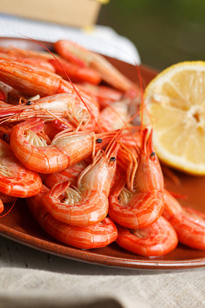 istock Serving of grilled prawns 153374715