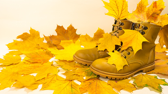 Autumn boots and yellow maple leaves around them. Beige background. Coming of fall. It's time to get out your fall shoes. Copy space.