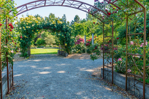 istock Seatac Garden In Bloom 1533774010