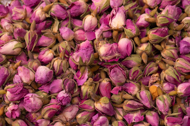 istock Dry tea roses isolated on white background. 1533804248