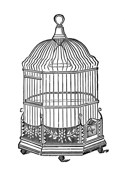 Antique image from British magazine: Bird Cage vector art illustration
