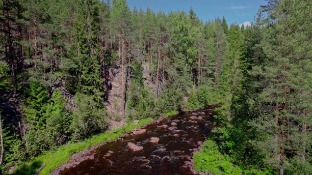 istock Nordic forest river landscape in the untouched wilderness 1533816276
