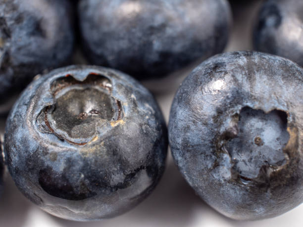 istock Ripe blueberries on a light background. 1533817319