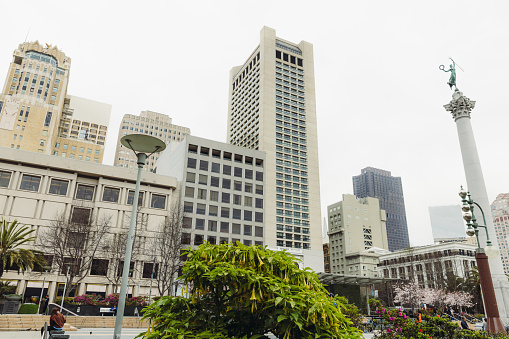 View of modern central district with skyscrapers and blooming trees in San Francisco, California, the United States