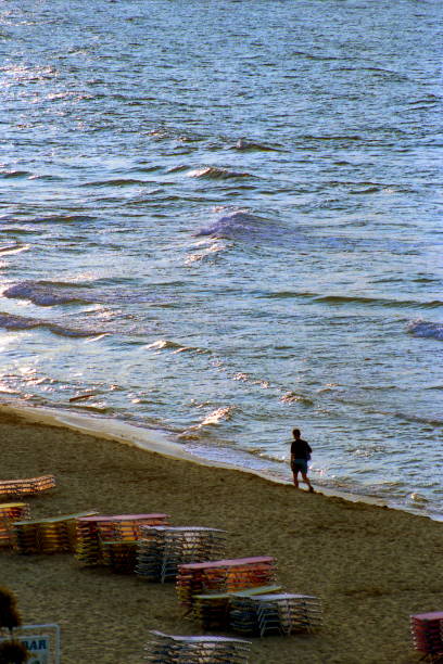 view of the beach at sunset