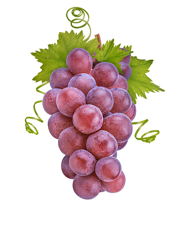 Fresh grapes isolated on white background