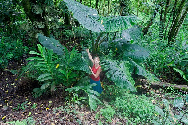 若い女性の熱帯雨林 - gunnera ストックフォトと画像