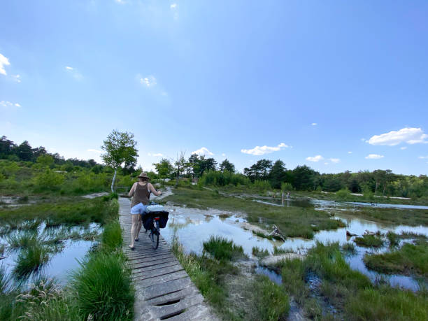 Family arrivies for a picnic in the moor arrea cold Brunssummerheide