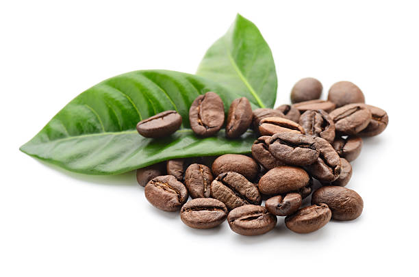 coffee stock photo