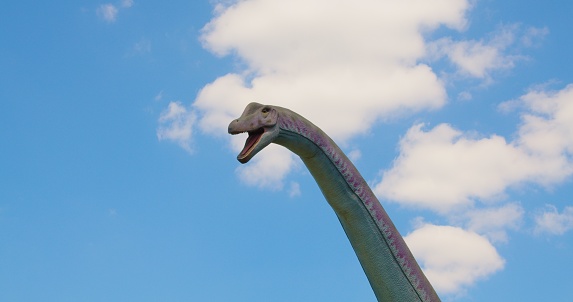 Park attraction place. A dinosaur head in the move. The figure of Stone age monster in close-up on the blue sky background. Nobody.