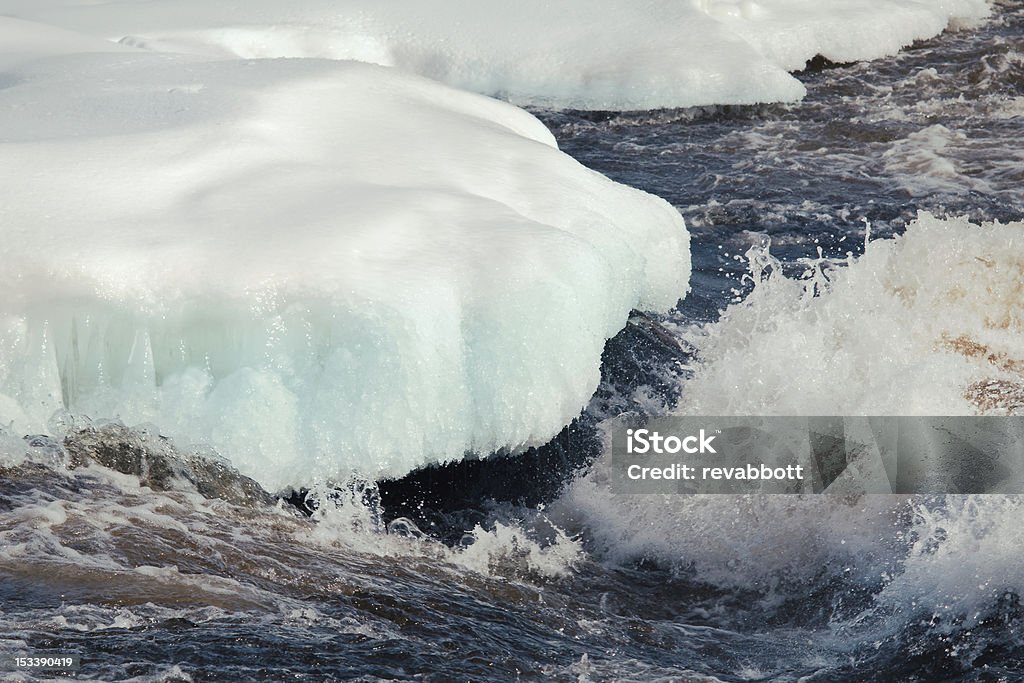 De invierno Fury - Foto de stock de Aire libre libre de derechos