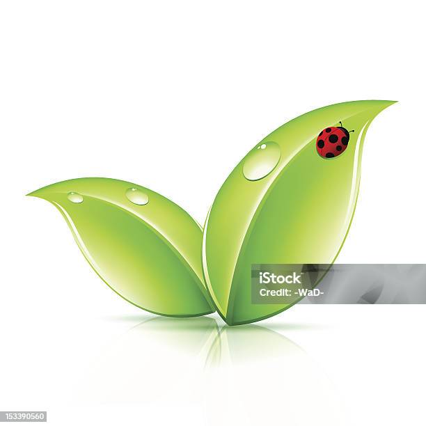 Grüne Blätter Symbol Stock Vektor Art und mehr Bilder von Blatt - Pflanzenbestandteile - Blatt - Pflanzenbestandteile, Emblem, Frische