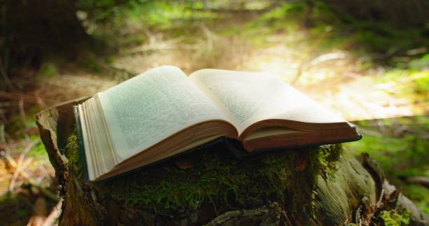 istock Open book with light flare. Mysterious printed book with a magical story. Learning is light and ignorance is darkness. Illuminated text in ancient scripture. Green nature background. 1533908633