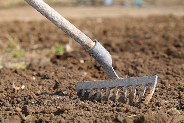 istock Preparing A Garden - Raking 153391500
