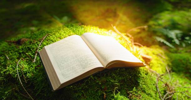 libro aperto con bagliore luminoso. misterioso libro stampato con una storia magica. l'apprendimento è luce e l'ignoranza è oscurità. testo miniato nelle antiche scritture. sfondo verde della natura. - psalms foto e immagini stock