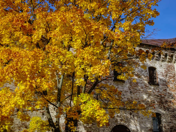 istock Autumn scenery of Vyborg, Russia 1533926414