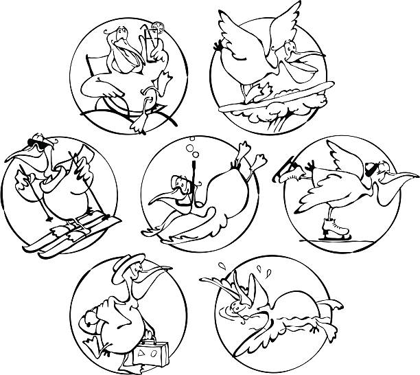 illustrations, cliparts, dessins animés et icônes de holiday pelican b/w série - ski travel symbol suitcase