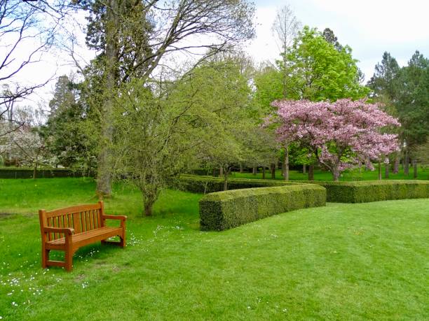 istock A quiet place to sit in a park 1533973487