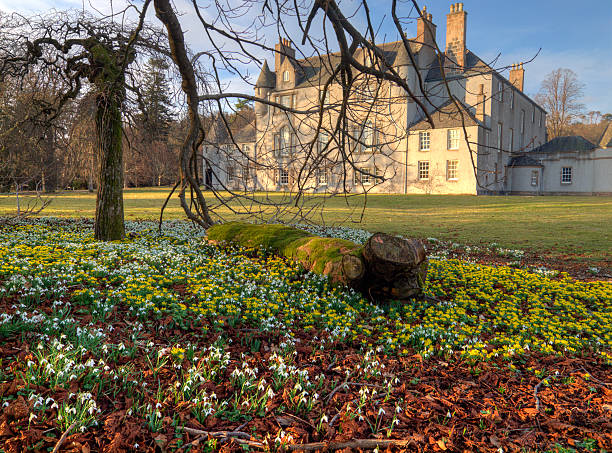 istock Spring Flowers at Leith Hall, Scotland 153397861